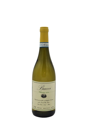 Villa Bucci Verdicchio dei Castelli di Jesi Classico Superiore 2024